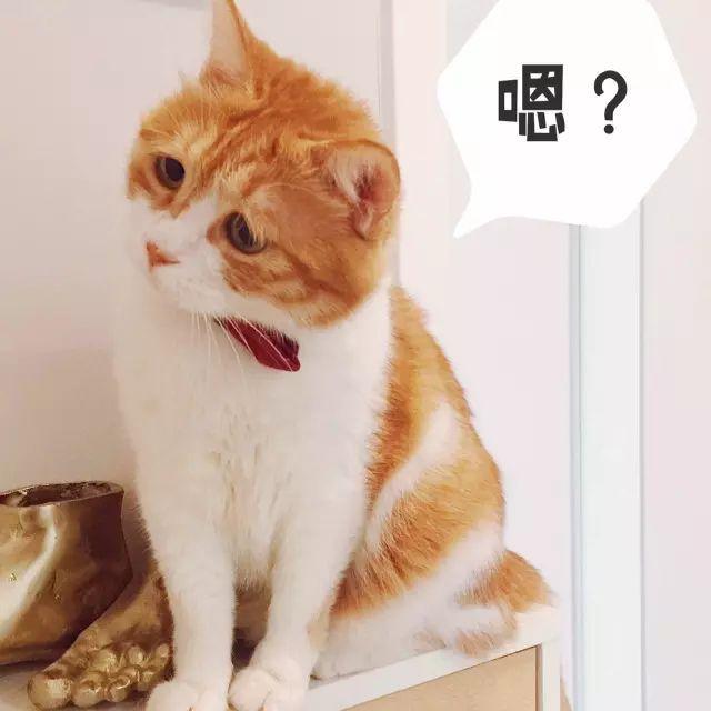 结婚前女友坚决要10万彩礼,一步不退,怎么办?