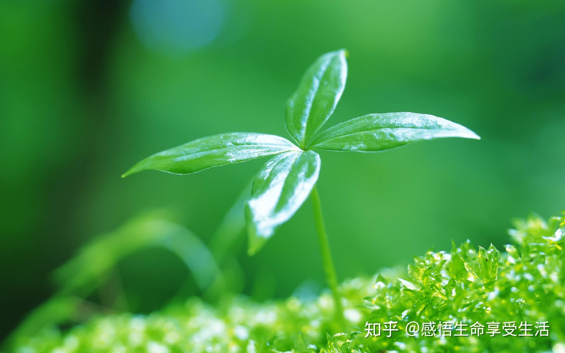 v2-cb68207b5746e143865bf056dfa94041_r.jpg