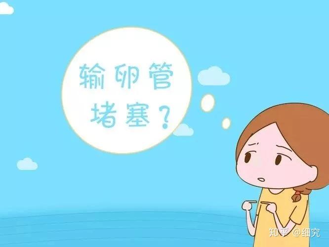 哪里可以做第三代试管成功率高