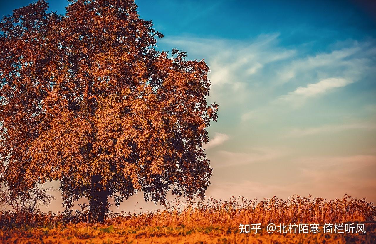 相思 - 知乎