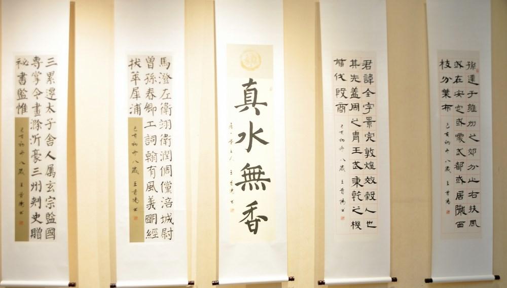 瀚海寻真野石书法工作室2019学员临帖展暨名家笔会在兰州隆重开幕