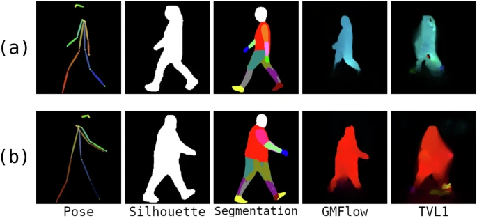Health&Gaits 视频步态分析数据集介绍 - 知乎