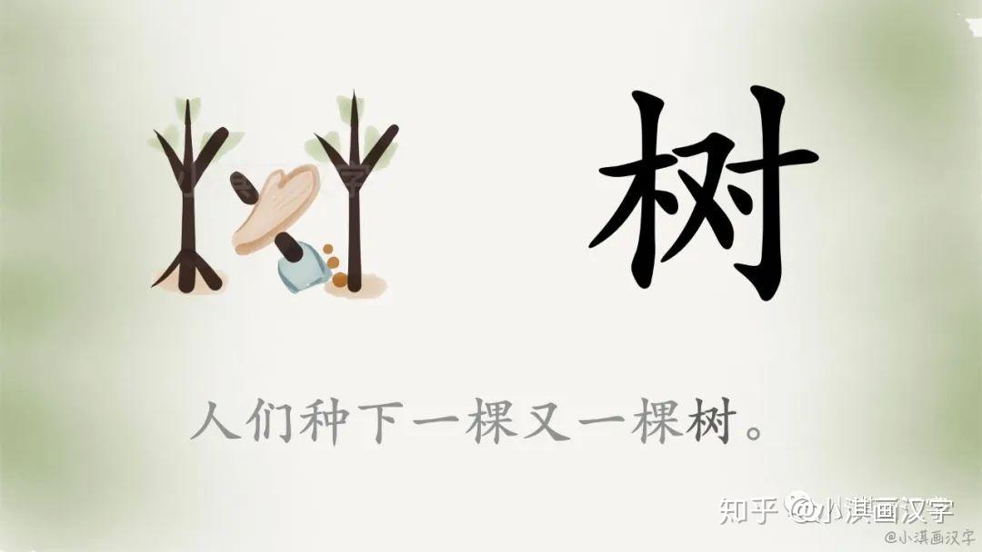 植树节,说说"树"字的故事