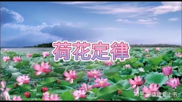 懂得荷花定律在人生赚钱的道路上你才会多点耐心和坚持