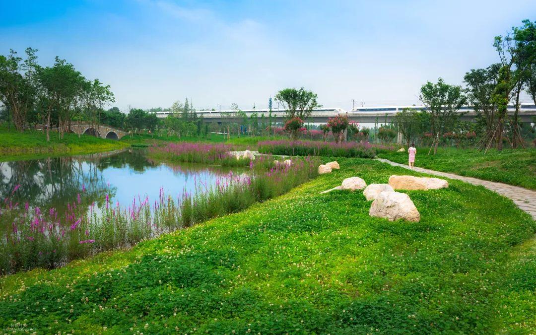 成都首个国家湿地公园开园啦!竟然在这里