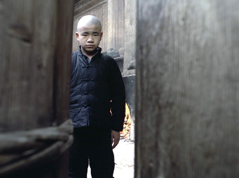 张艺谋的菊豆两次杀父的杨天白对现实有何借鉴意义