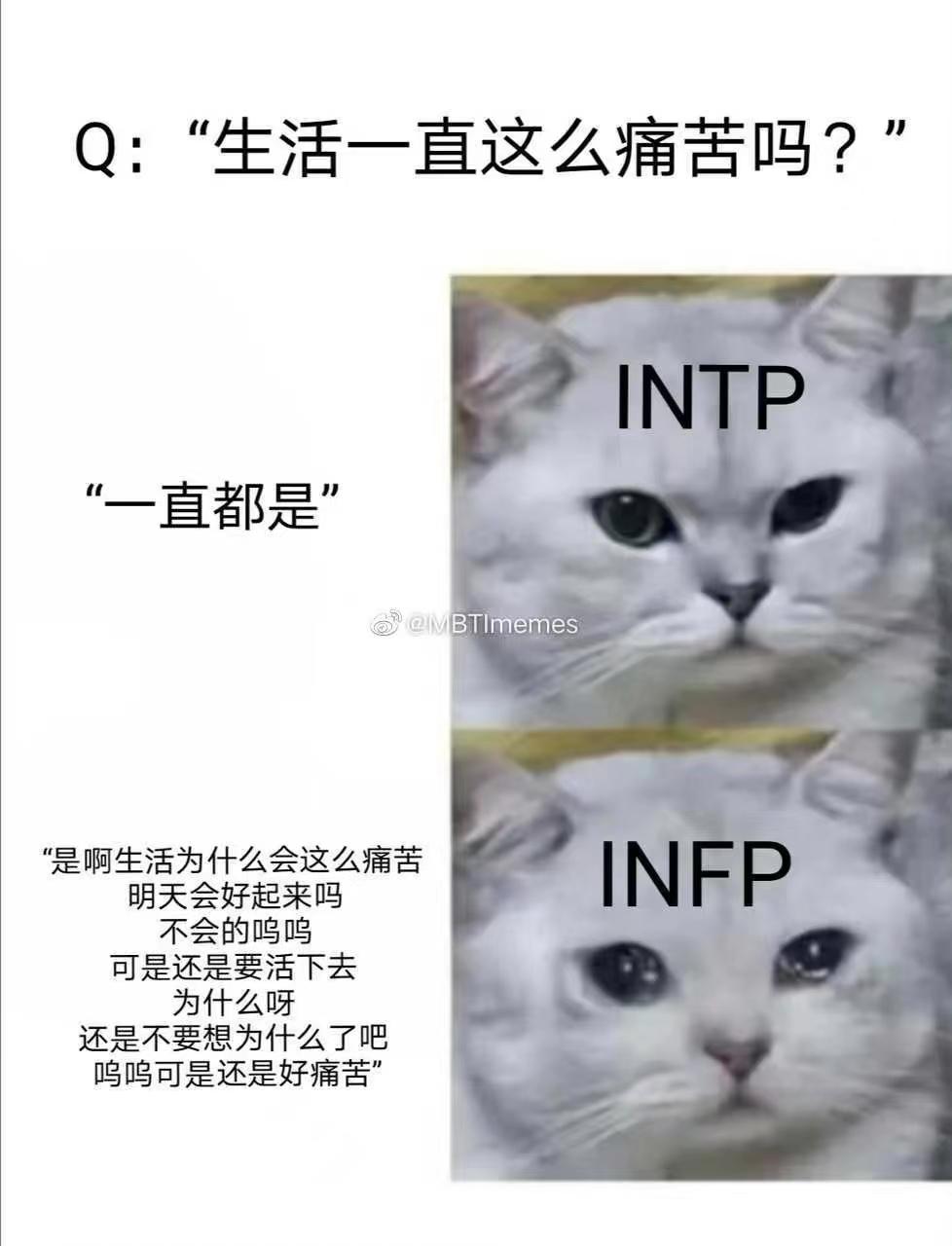 【mbti表情包】intp表情包 | 邏輯學家人格表情包 | intp梗圖 - 知乎