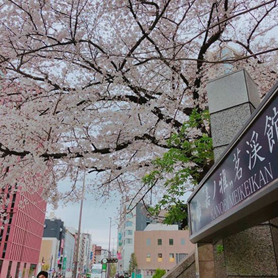 研究生 修士都在御茶水女子大学就读是一种什么体验 知乎