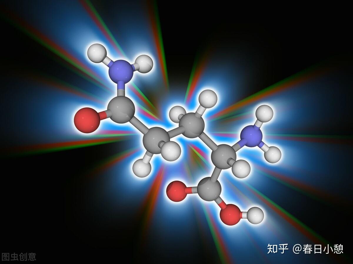 每天学点营养学5关于蛋白质的介绍