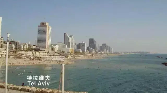 如何评价英剧《黑道无边》?