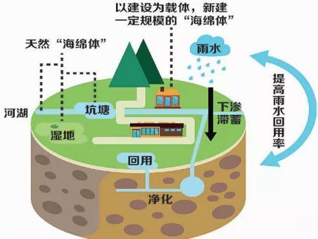 仇保兴发表的《海绵城市建设技术指南——低影响开发雨水系统建造
