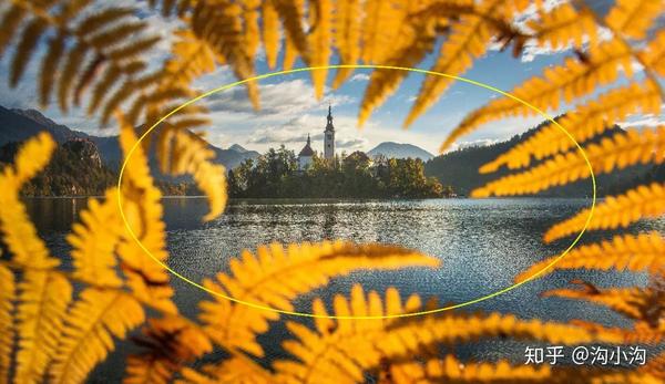 构图x构图 | 5招学会极其小众的圆形构图法 - 知乎