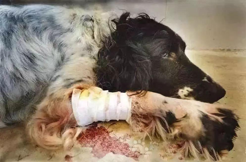 这两具被毒死的尸体,暴露了人性的恶……-惨被毒死