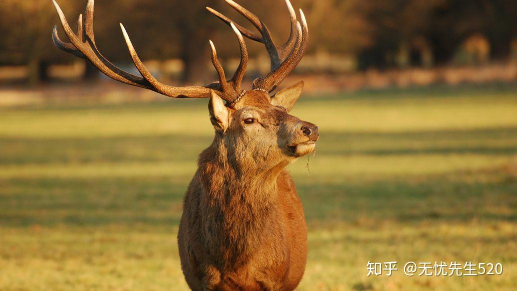 体育直播吧为您带来全方位体育体验