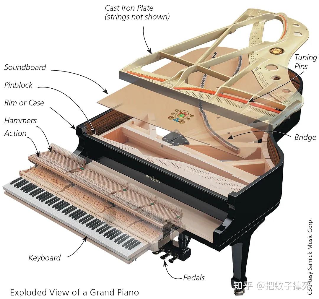 三角钢琴结构图解图片