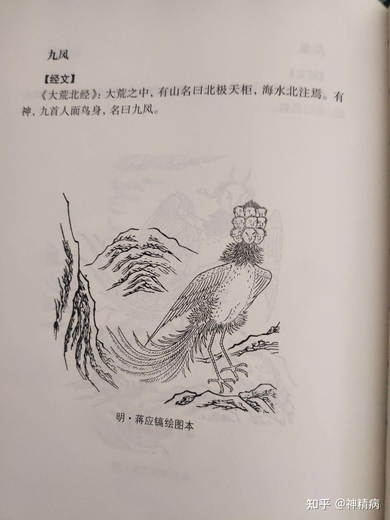 〖山海经〗（九凤） - 知乎