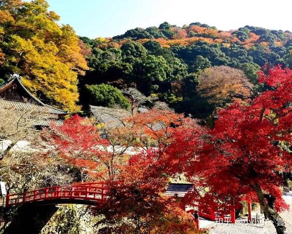 大阪 24小时佛系游玩指南 知乎