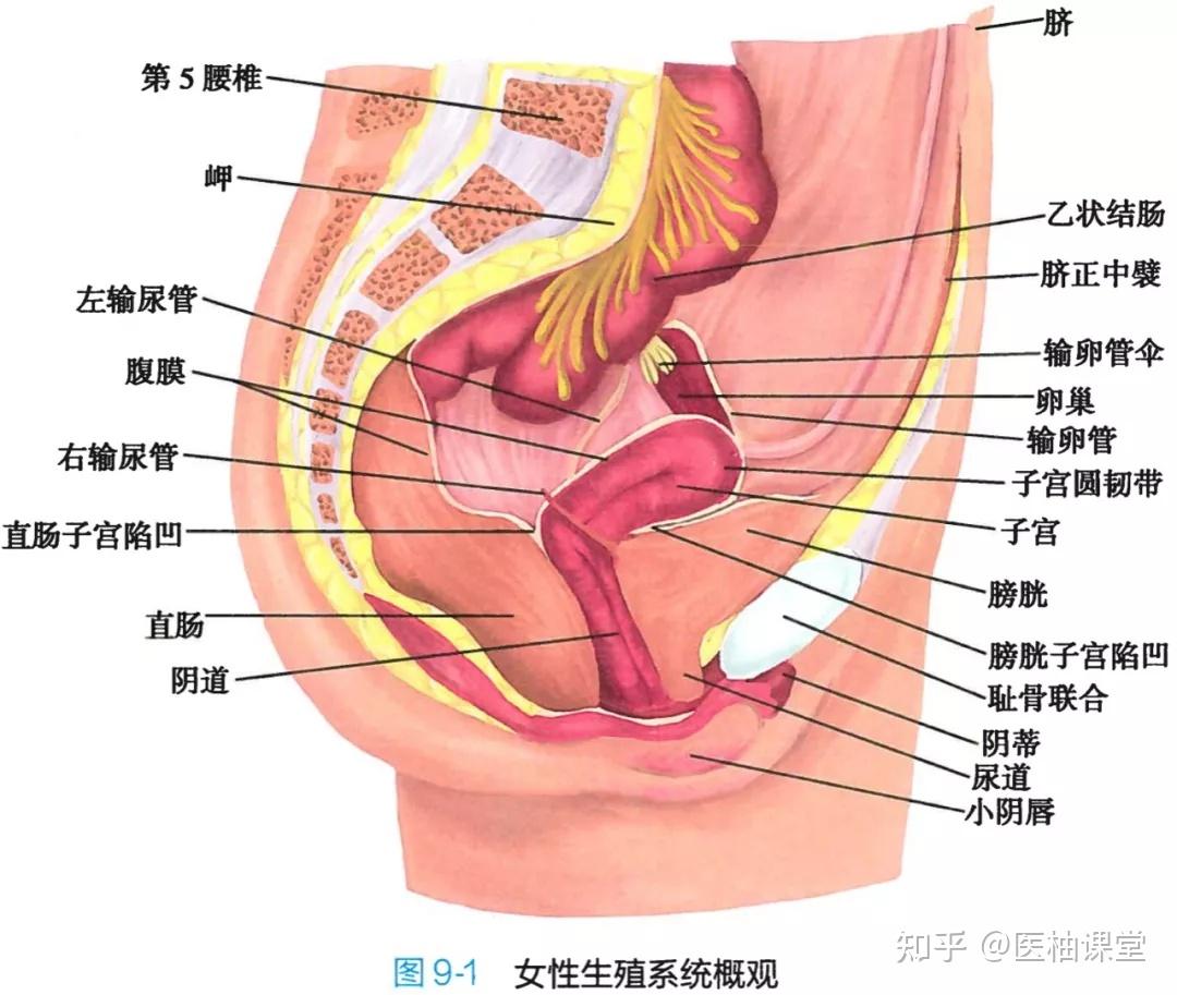 v2-cbf3ca34e6e93924c147e4cdeeaee549_r.jpg