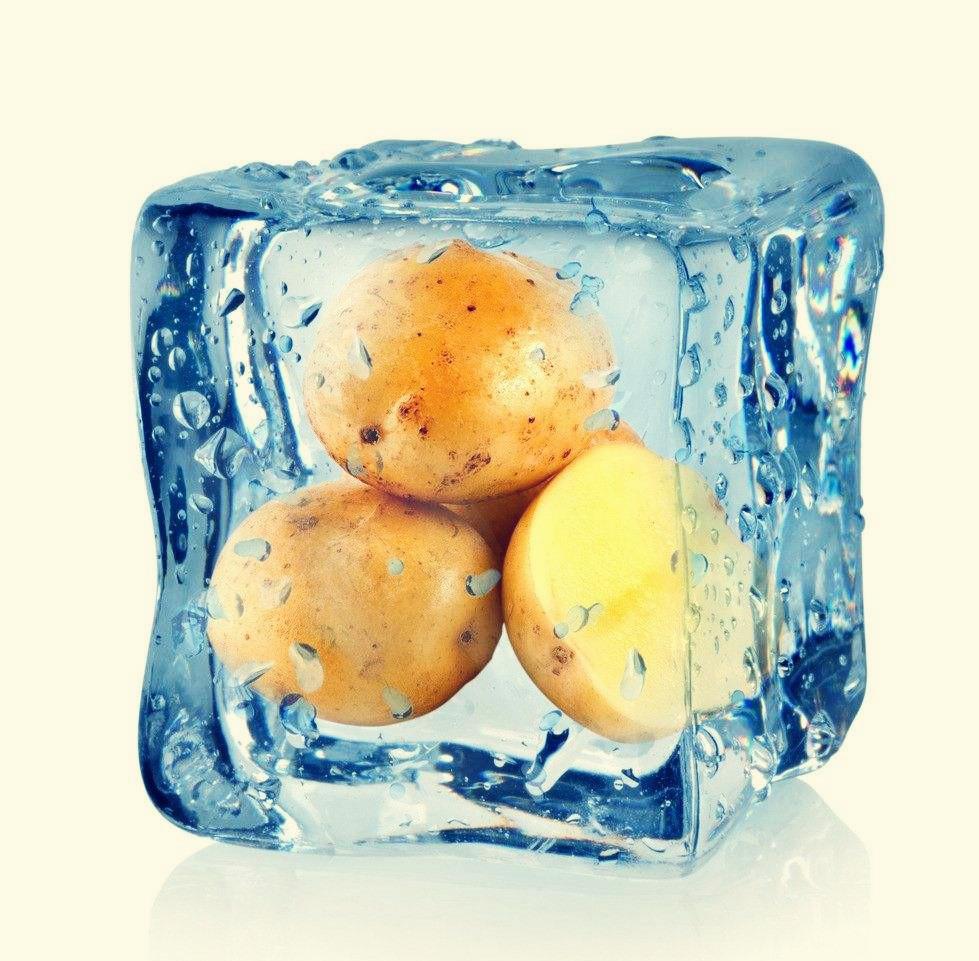 东北寒冷冬天室外就像一个超大号的冰箱,食物在外面放着保存也基本不