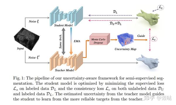  Uncertainty Aware Mean Teacher UA MT 