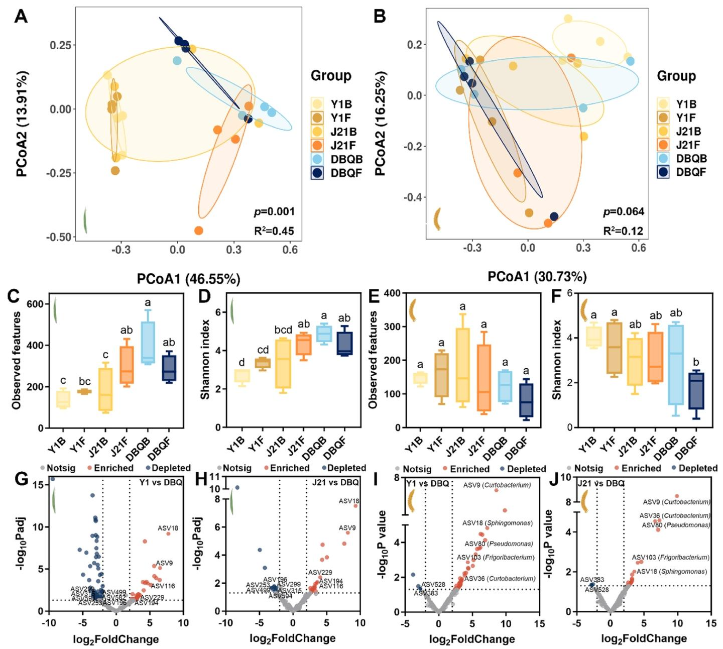 Microbiome | 谷子叶际（地上）微生物通过调控谷物色泽与苦味化合物含量实现对品质的核心调控 - 知乎