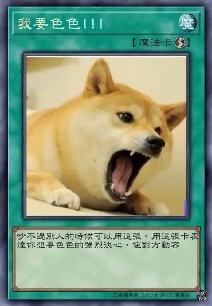 色色柴犬卡牌