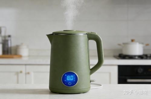 带娃家庭养生壶测评选购指南:Zemkon、宫菱、大宇等电热水壶哪个品牌好?十大公认养生壶推荐2025品牌安全款盘点
