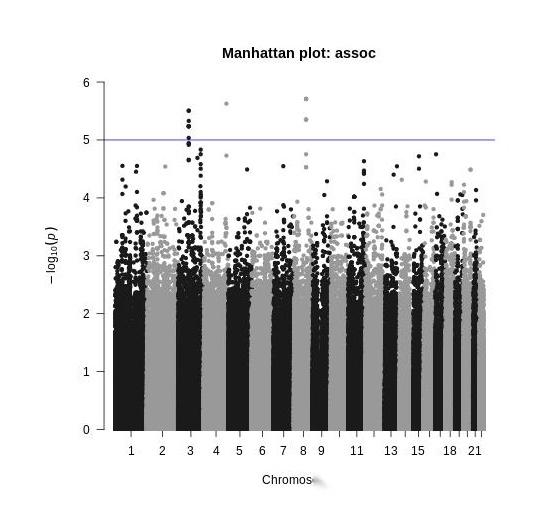  gwas 3 plink 