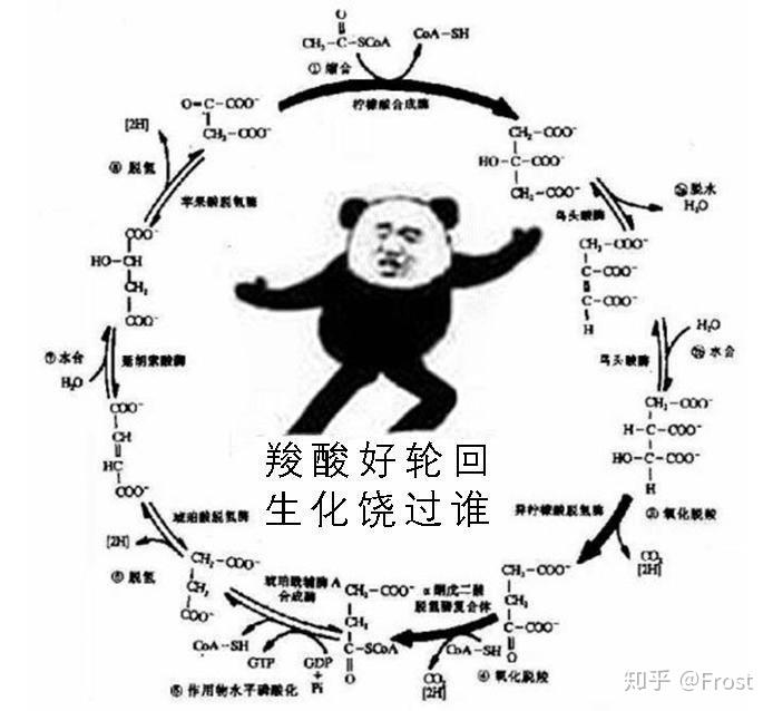 有哪些有趣的医学生专用的沙雕表情包