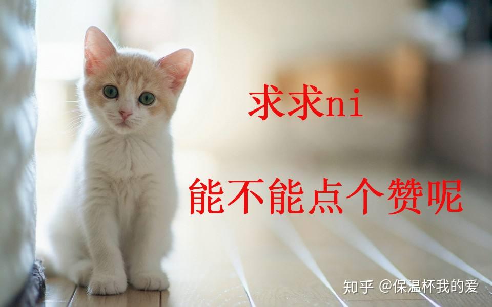 v2-cc0f27f58f66ccee1d360eda2b994625_r.jpg