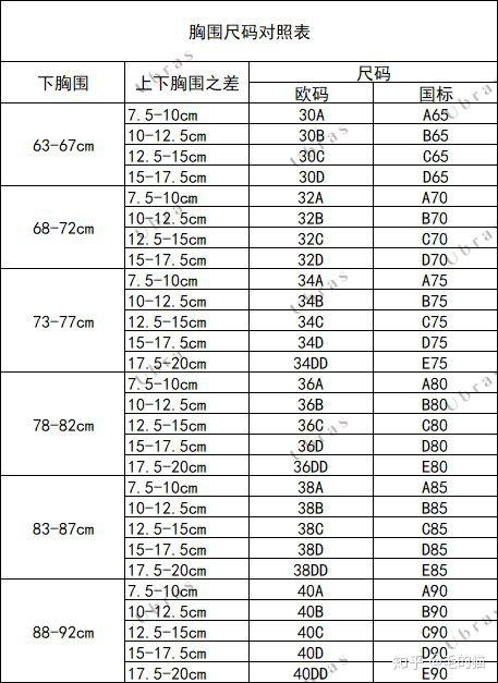 文胸尺碼分為國際標準碼和歐碼,二者可以互相換算▼測量後我們瞭解了
