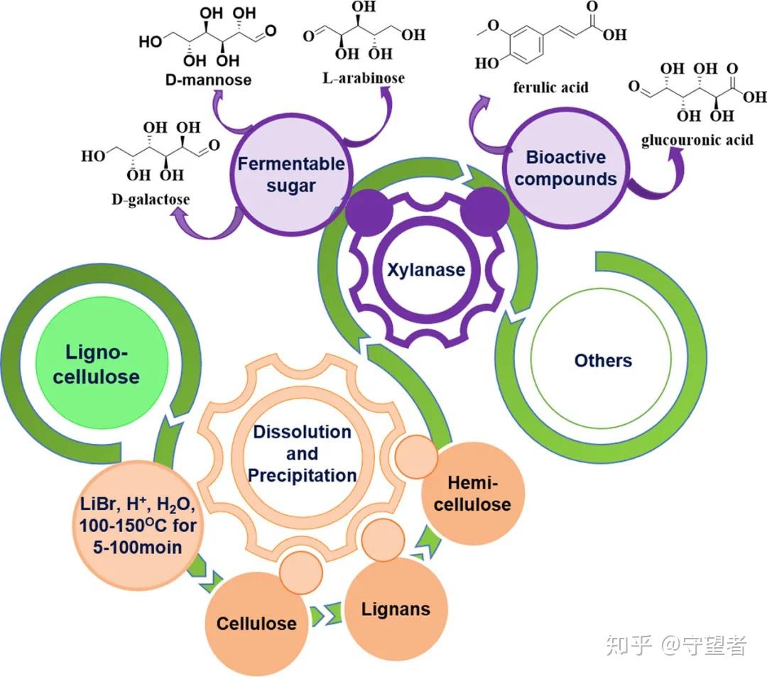 2, pili; 3, capsule; 4, cell wall; 5, ribosome; 6, cytoplasm