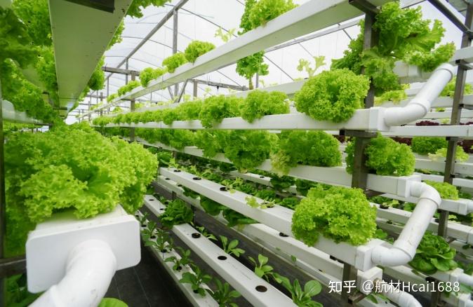 彭真怀：4大现代农业种植模式，13种栽培方式 - 知乎