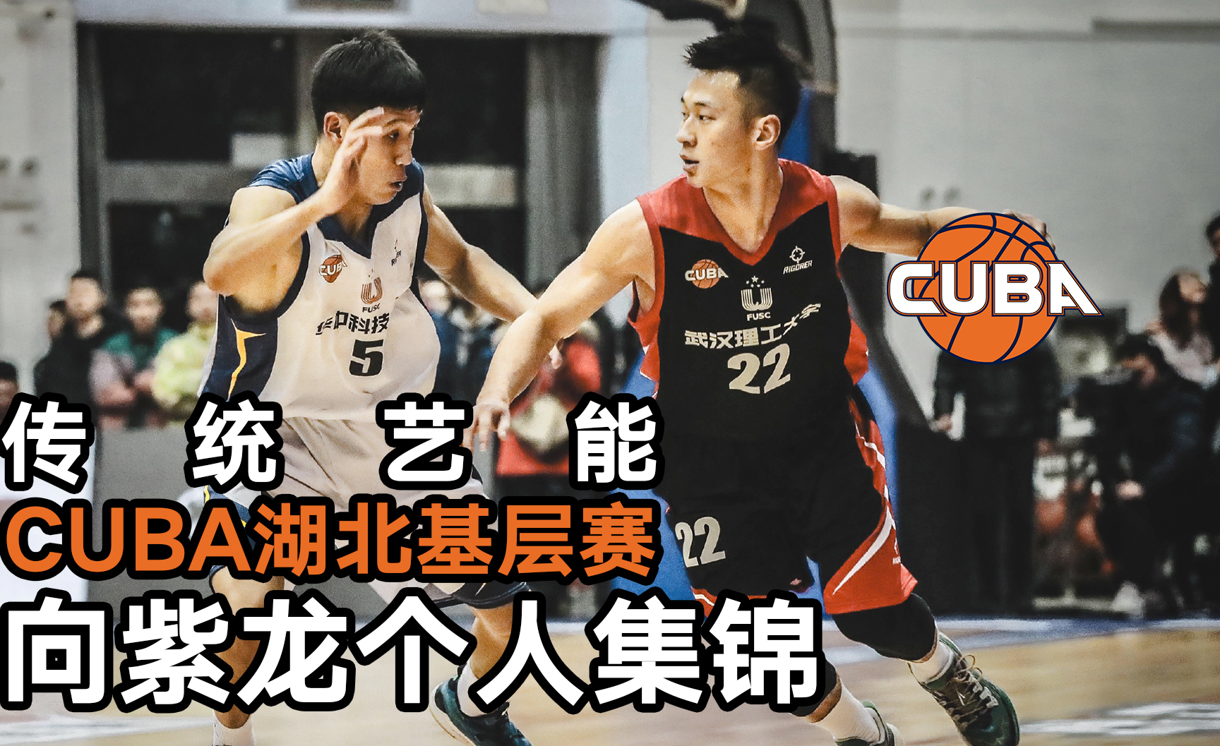 向紫龙实战集锦:安踏要疯全国街球巡回赛