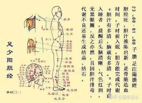 胆经一通万病无踪，5分钟学会真人“胆经操” - 知乎