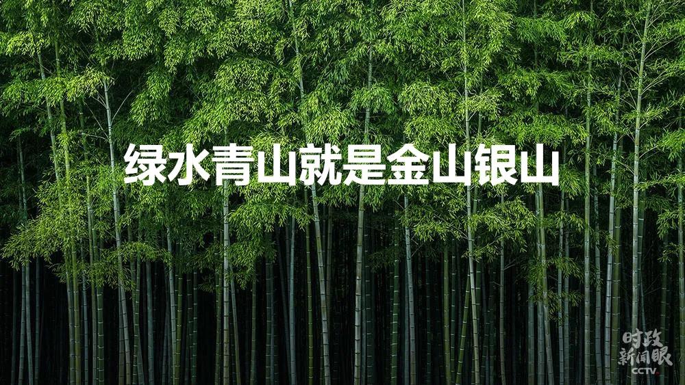 绿水青山就是金山银山这份环保创意可能你需要