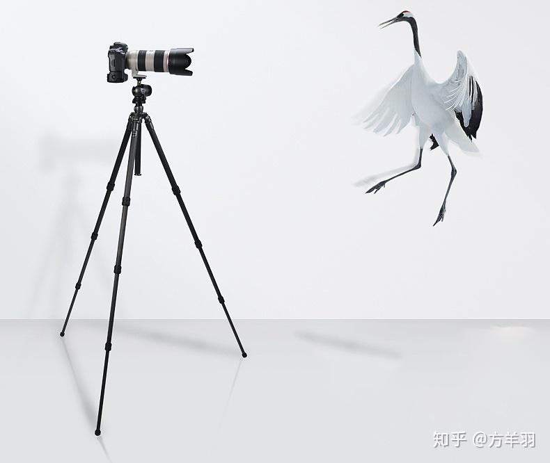 v2-cc70d06bf28dc0483c2a0a47171db46d_r.jpg