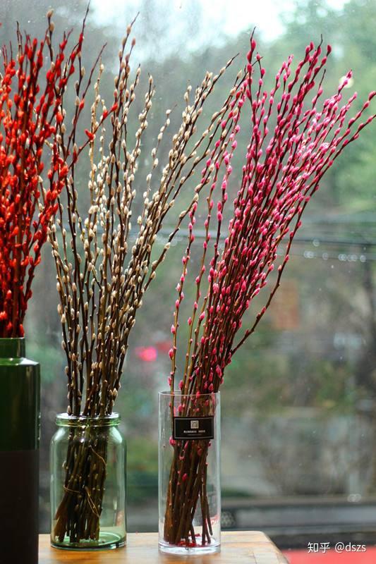 为梦想奔波4花材的简单分类线状花材1