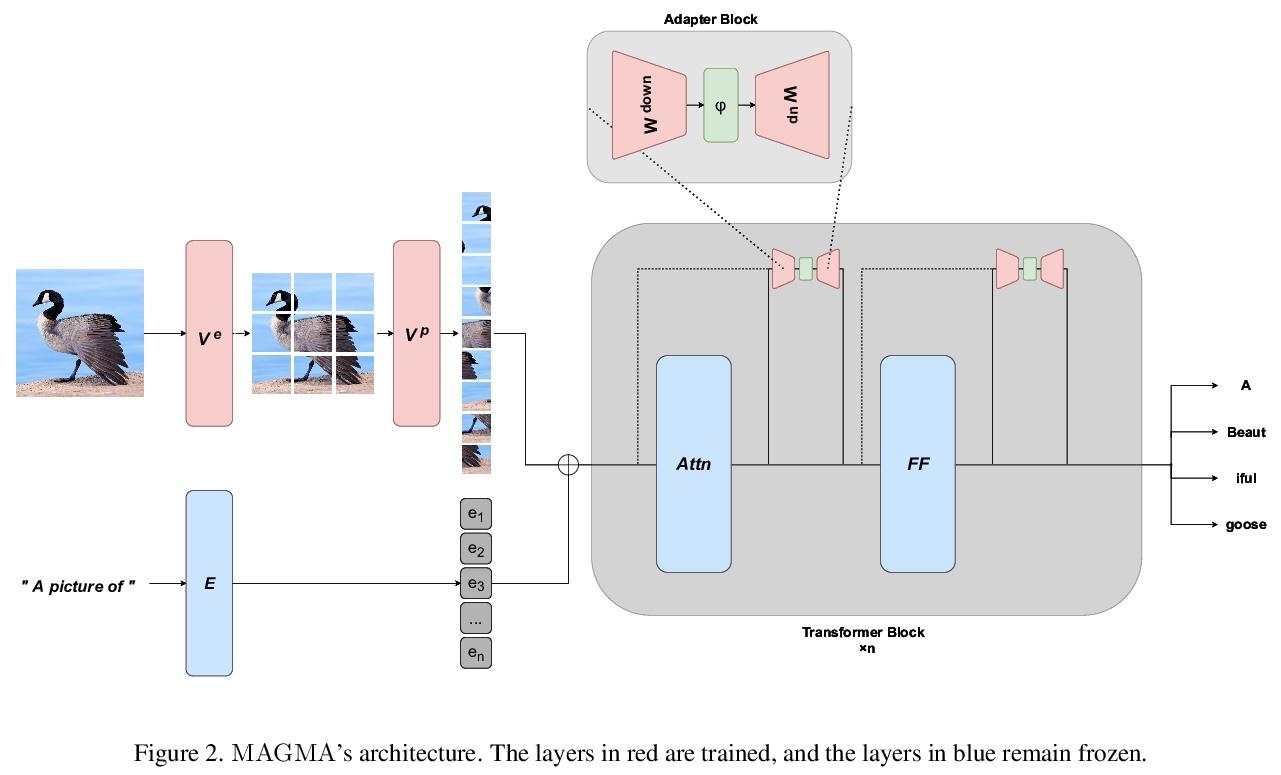 5,[cv] everything at once -- multi-modal fusion transformer for