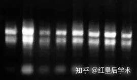 知乎专栏