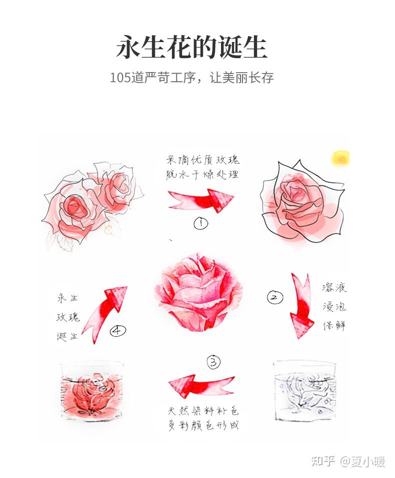 什么是永生花?是真花吗? - 知乎