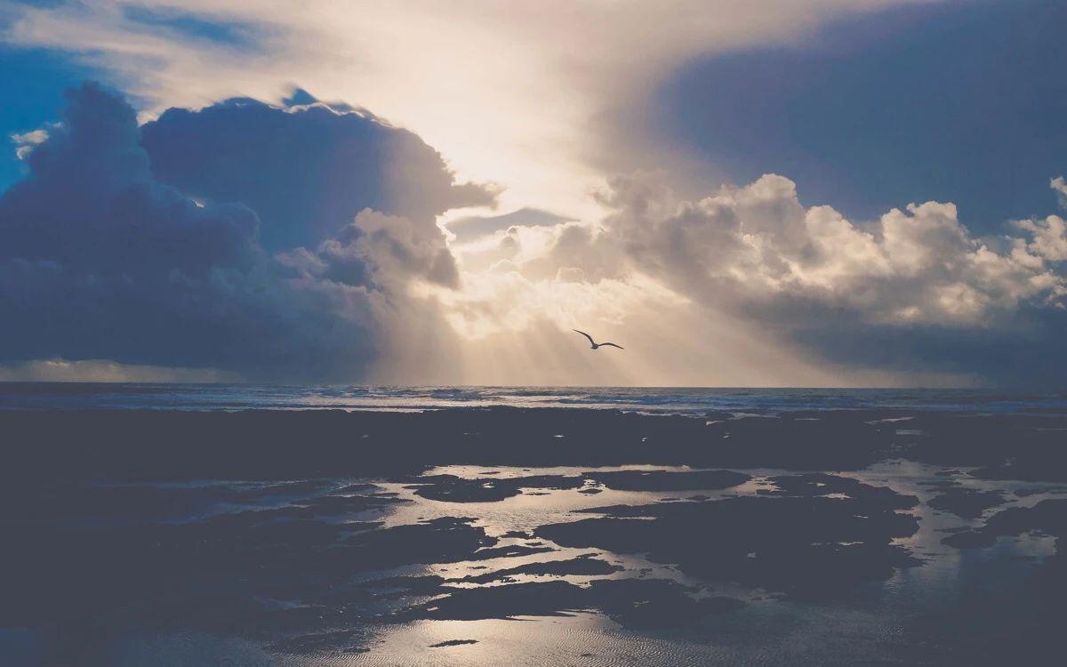 可以推荐下低调温柔又不俗气的笔记本壁纸嘛哈哈哈哈