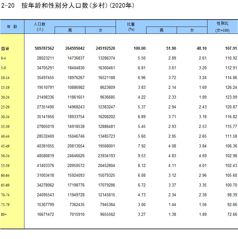 人口普查2021公布结果图片