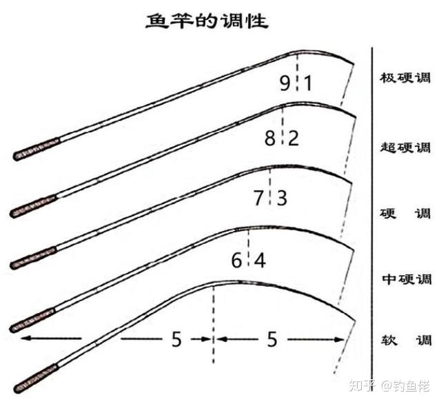 v2-ccb39dce1bdd3a290d60b8fa46951729_r.jpg