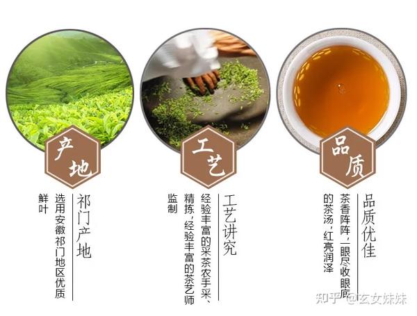 【简介】祁门红茶简称祁红,红茶中的极品,享有盛誉,被称为"群芳最","