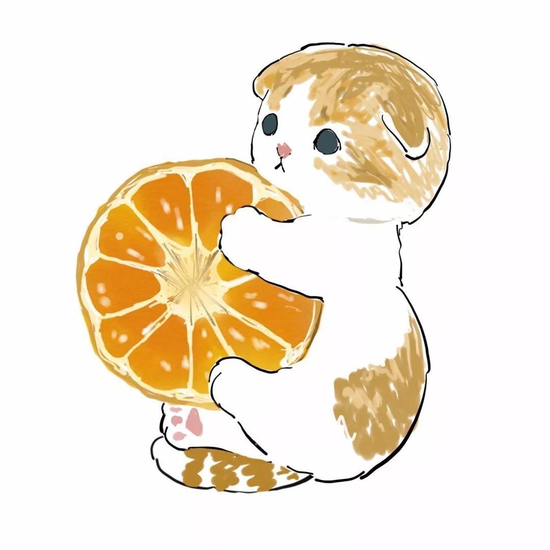 有哪些可以作为壁纸的可爱的卡通猫图片