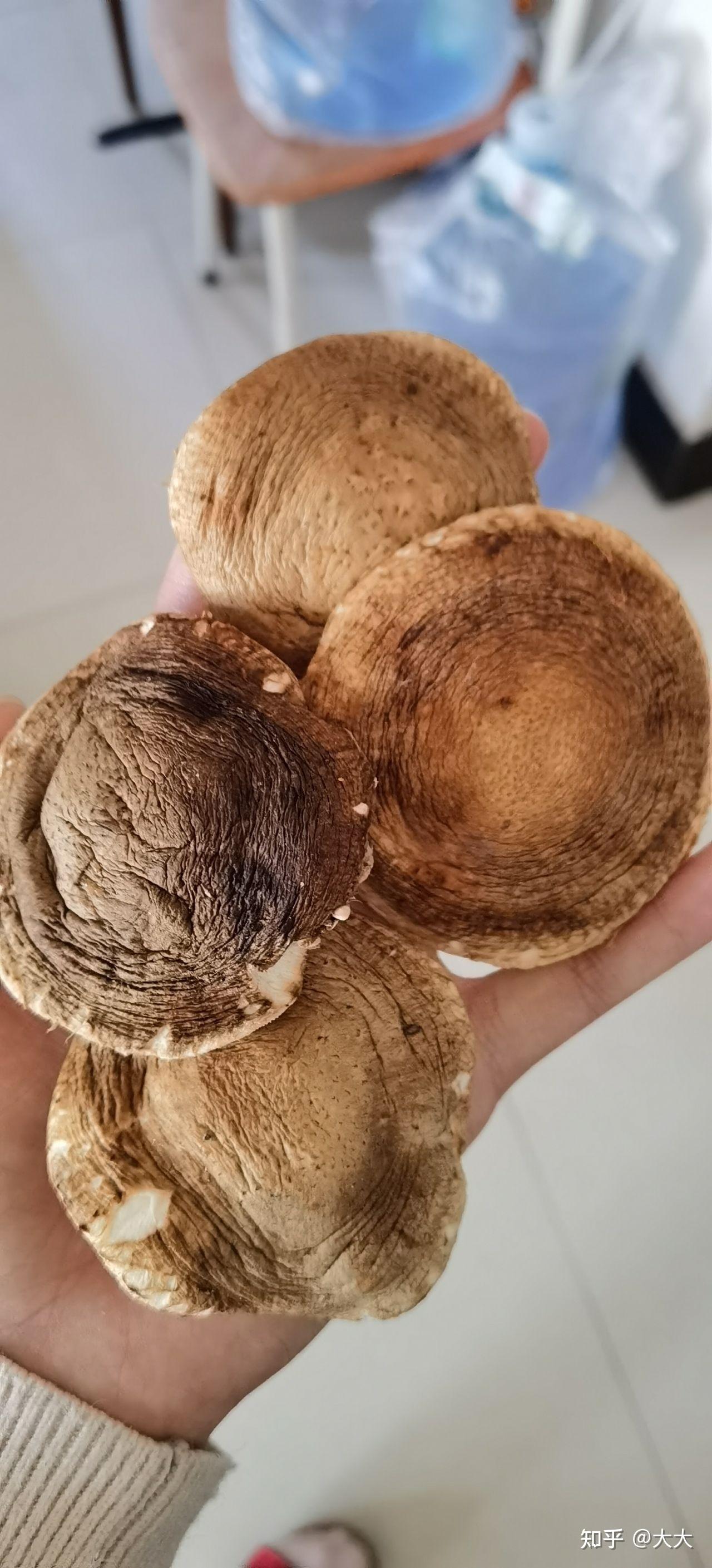 第一次到菜市场买到了假香菇