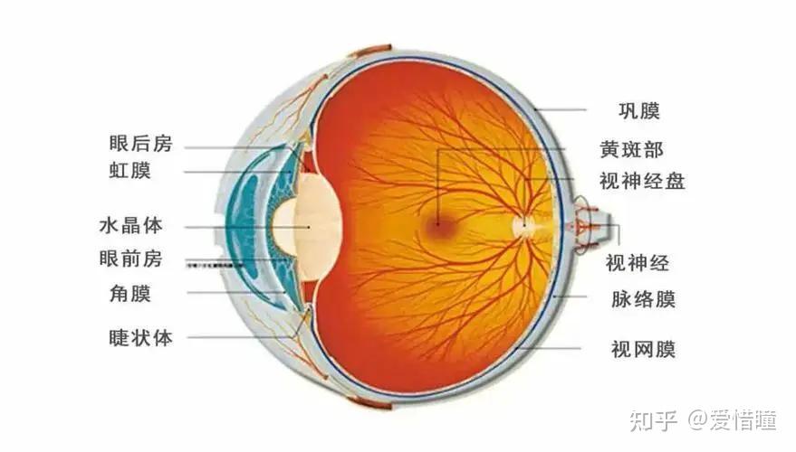 我明明看东西一清二楚