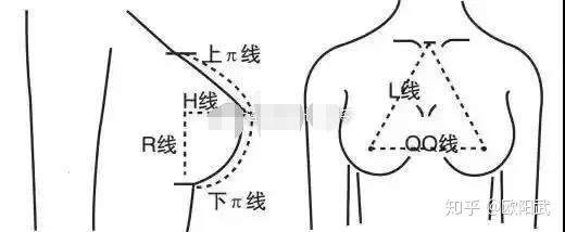 欧阳武 女生的胸多大才好 直男眼中理想罩杯是 知乎