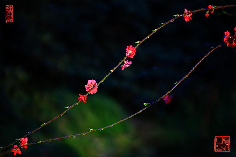 v2-cd138fbba720b35d29553c9aefa755ac_1440w.jpg?source=172ae18b